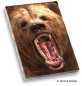 Preview: Memo Pad Grizzly